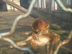 -西安秦岭野生动物园