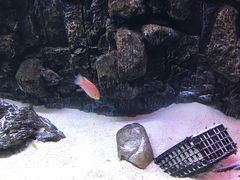 -海合安天津极地海洋公园