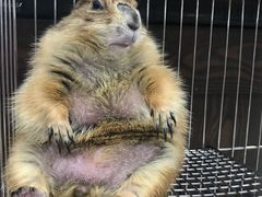 -乐宠宠物店(世纪金源店)