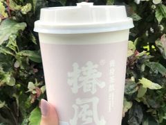 -椿风·养身茶饮(吉大店)