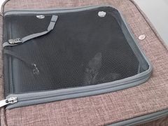 -瑞鹏宠物医院犬猫全科(真大分院)
