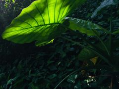 -佛山祈福仙湖酒店