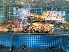 -启东小海鲜(庄先湾路1号店)