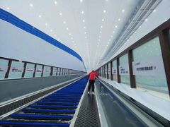 -哈尔滨热雪奇迹