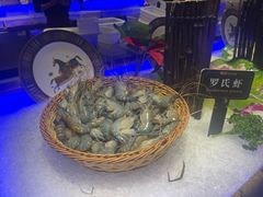 -加餐海鲜自助(宝龙一城店)