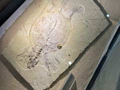 -房山世界地质公园博物馆