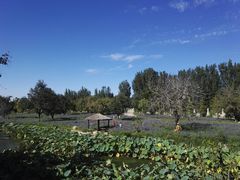 -静之湖湖畔餐厅