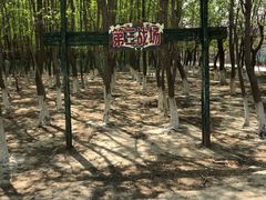 -亲兄弟真人CS团建拓展基地