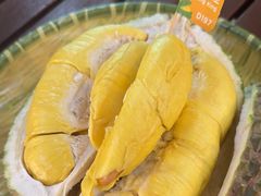 -榴莲BB 四季果园