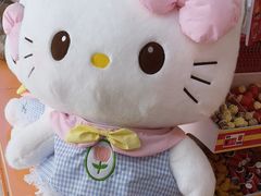 -可爱抓 COCO  GOTCHA(天津鹏欣水游城店)