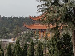 -游子山休闲旅游区