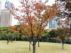 -新虹桥中心花园