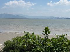 -深圳湾公园(南山区)