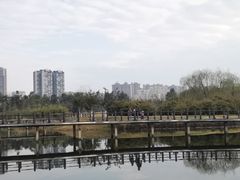 -眉山湿地公园(东坡区)