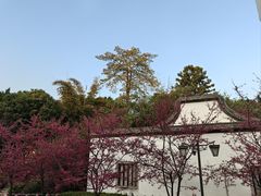 -乌山风景区