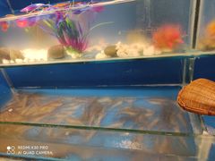 -芭菲盛宴·环球美食(锦城万达广场店)