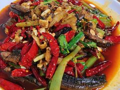香辣鳝段-三哥田螺(北书院街店)