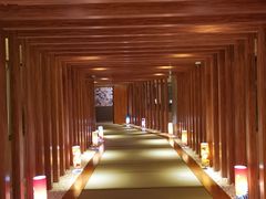-重庆南山海昌汤都
