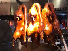 陈鹏鹏·金奖卤鹅-陈鹏鹏潮汕菜(宝安机场T3航站楼店)