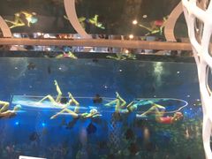 -瑞德姆美人鱼海底演艺主题餐厅(亚龙湾店)