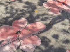 -高东镇樱花园