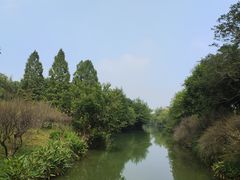 -西溪国家湿地公园