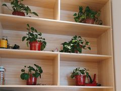 -宋益驴蹄子面肉夹馍(辛家庙店)