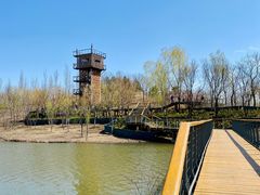 -东郊湿地公园