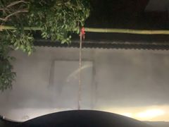 -张鸟园农家乐(张鸟园店)