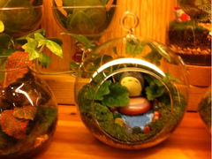 iphone_upload_pic-妃比花艺(光启城时尚购物中心店)