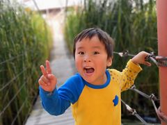 -河北村民俗体验园