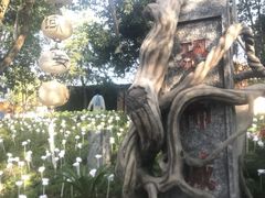 -横店影视城梦幻谷园区