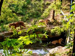 -大连森林动物园