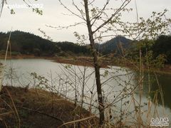 -千岛湖龙川湾