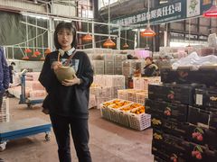 -双福水果批发市场