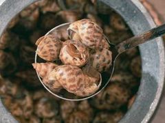 -隅乐胡椒虾·台湾菜·团建(皇岗店)