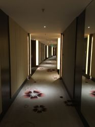 -南京华泰万丽酒店·宴会厅