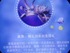 -重庆欢乐海底世界