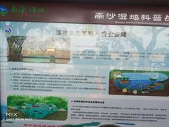 景点-大湾区中央湿地公园