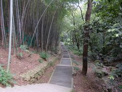 -穹窿山景区