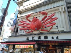 -蟹道乐(道顿堀本店)