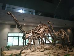 -自贡恐龙博物馆
