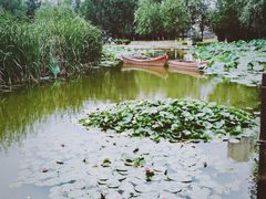 -前关湿地公园