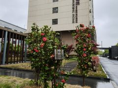 -上海爱以德护理院·康复(宝山院)