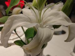 -黑宝石西餐厅(汇励99城市公园店)