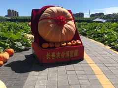-长春农博园