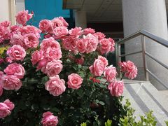 -北戴河集发农业梦想王国