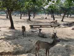 -西安秦岭野生动物园