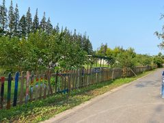 -前小桔亲子创意农场·草莓采摘·露营烧烤