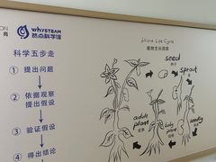 -瑞思英语·少儿英语启蒙(河西·梅江第六田园校区)